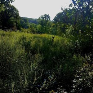 Meet your Posher, Tanner